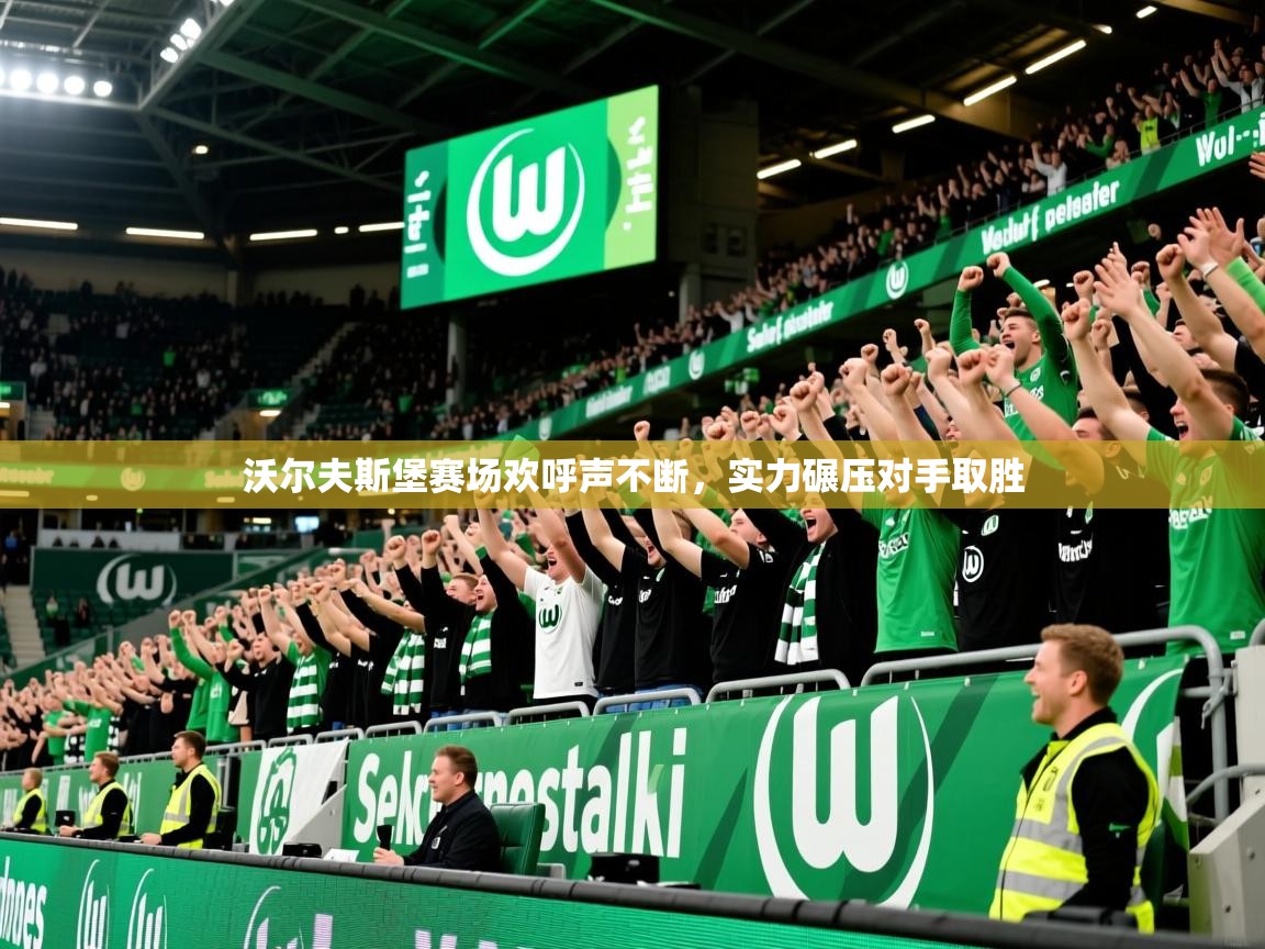 沃尔夫斯堡赛场欢呼声不断,实力碾压对手取胜 第1张