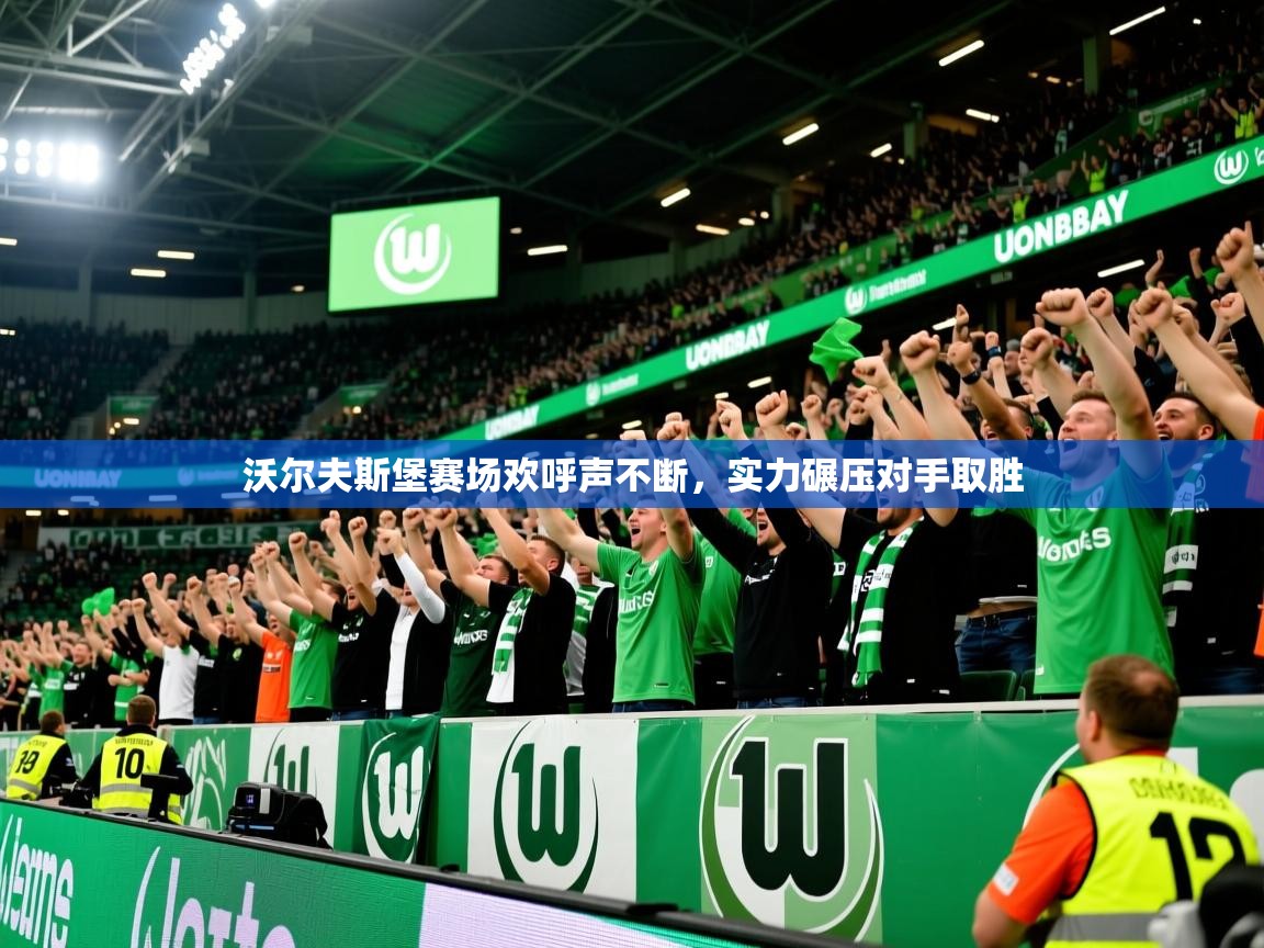 沃尔夫斯堡赛场欢呼声不断,实力碾压对手取胜 第2张