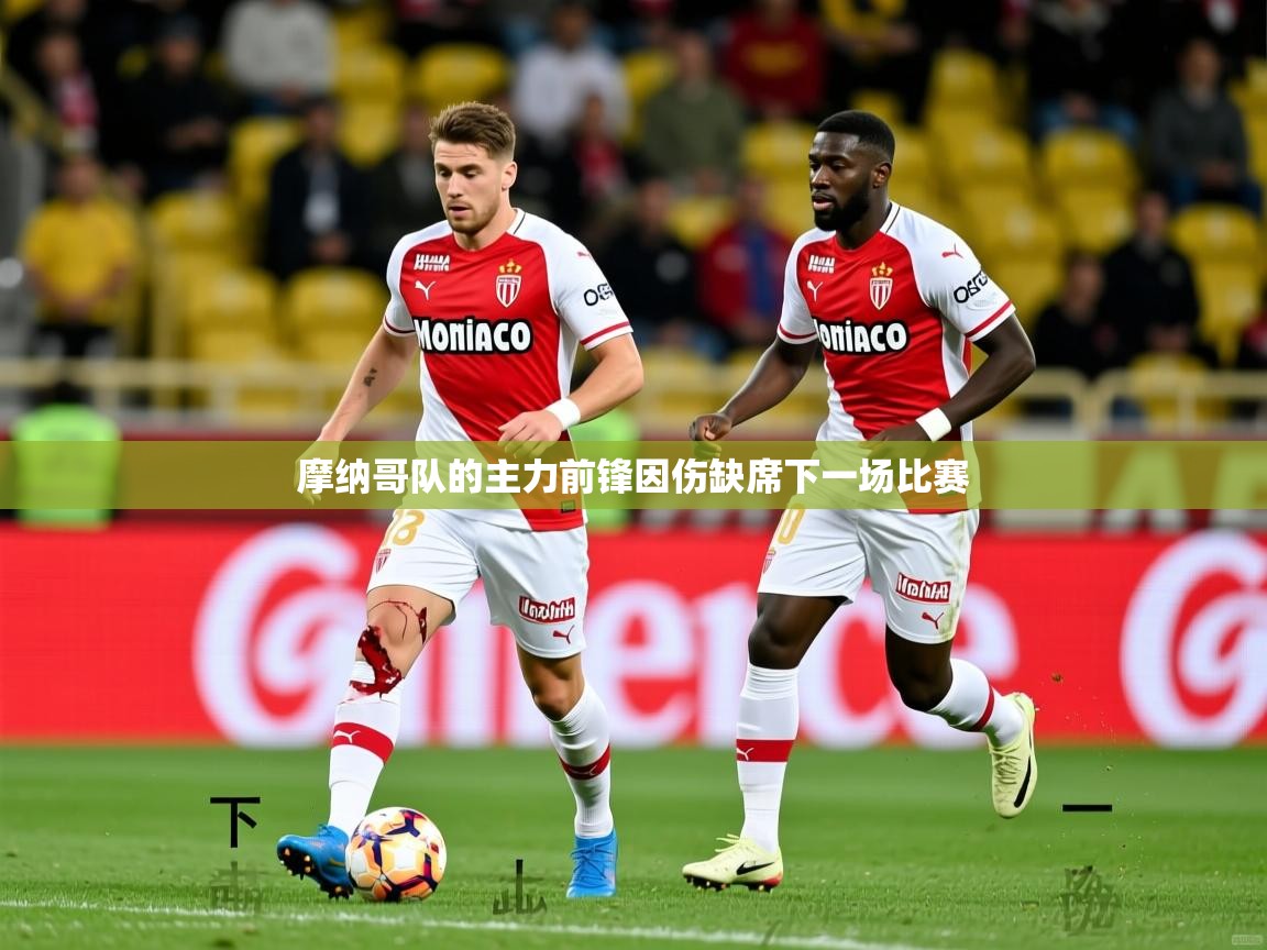 摩纳哥队的主力前锋因伤缺席下一场比赛  第1张