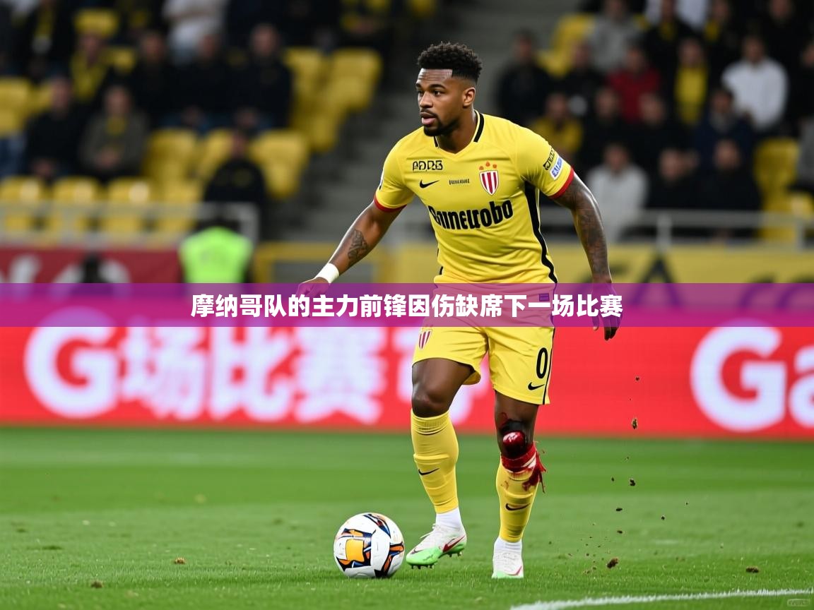 摩纳哥队的主力前锋因伤缺席下一场比赛  第2张