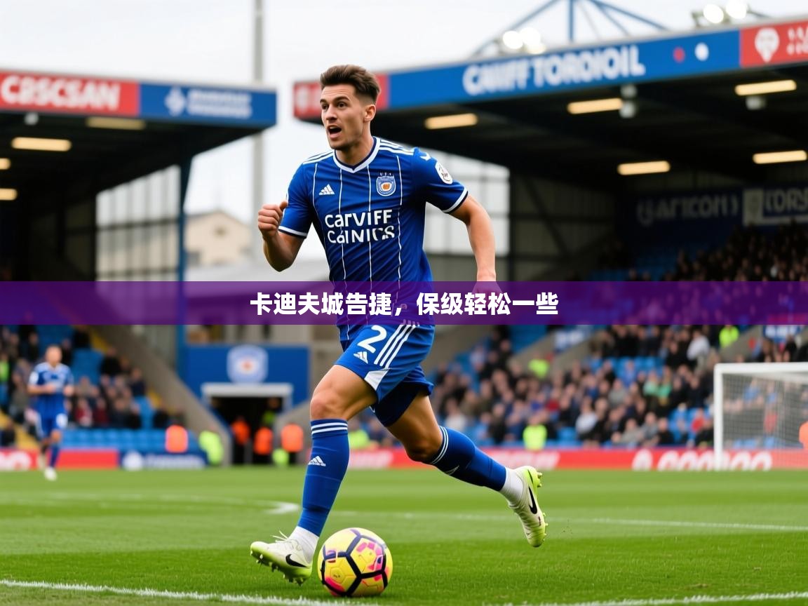 卡迪夫城告捷，保级轻松一些  第2张
