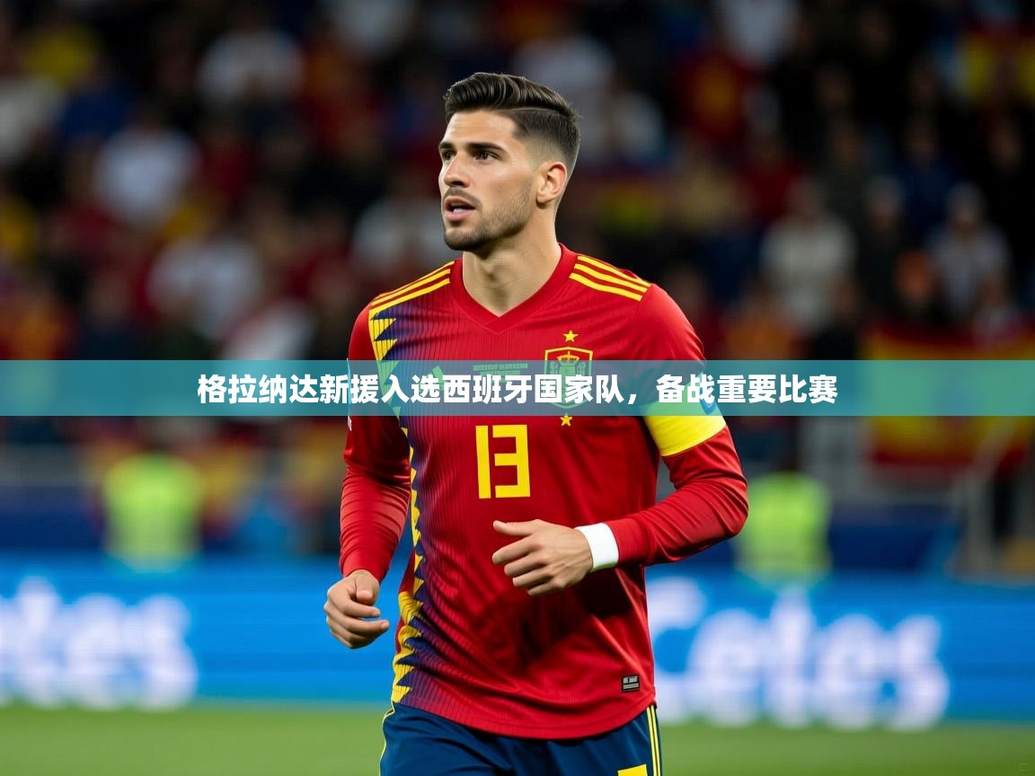 格拉纳达新援入选西班牙国家队，备战重要比赛  第2张
