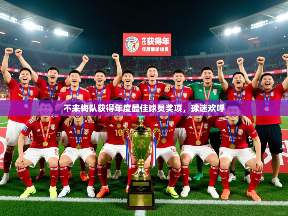 不来梅队获得年度最佳球员奖项，球迷欢呼  第3张