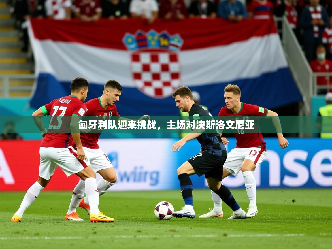 匈牙利队迎来挑战，主场对决斯洛文尼亚  第4张