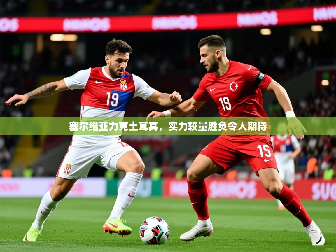 塞尔维亚力克土耳其，实力较量胜负令人期待  第1张