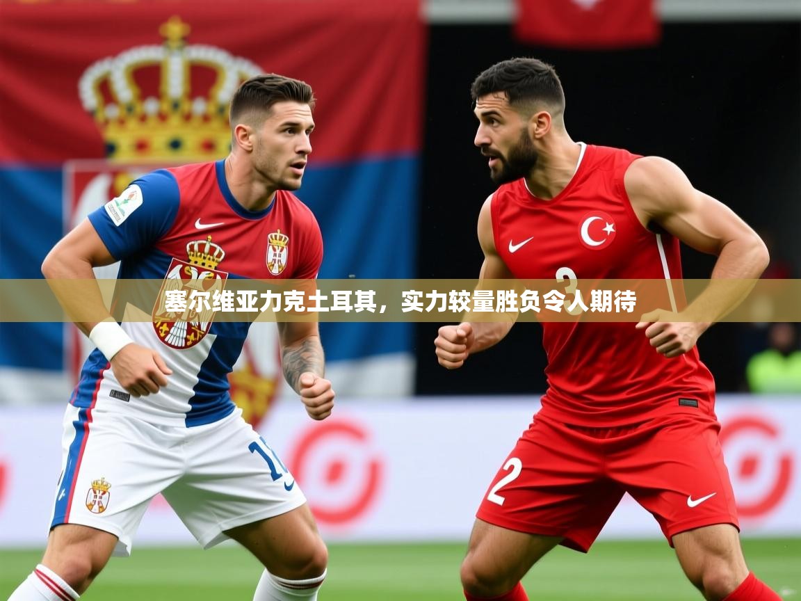 塞尔维亚力克土耳其，实力较量胜负令人期待  第2张