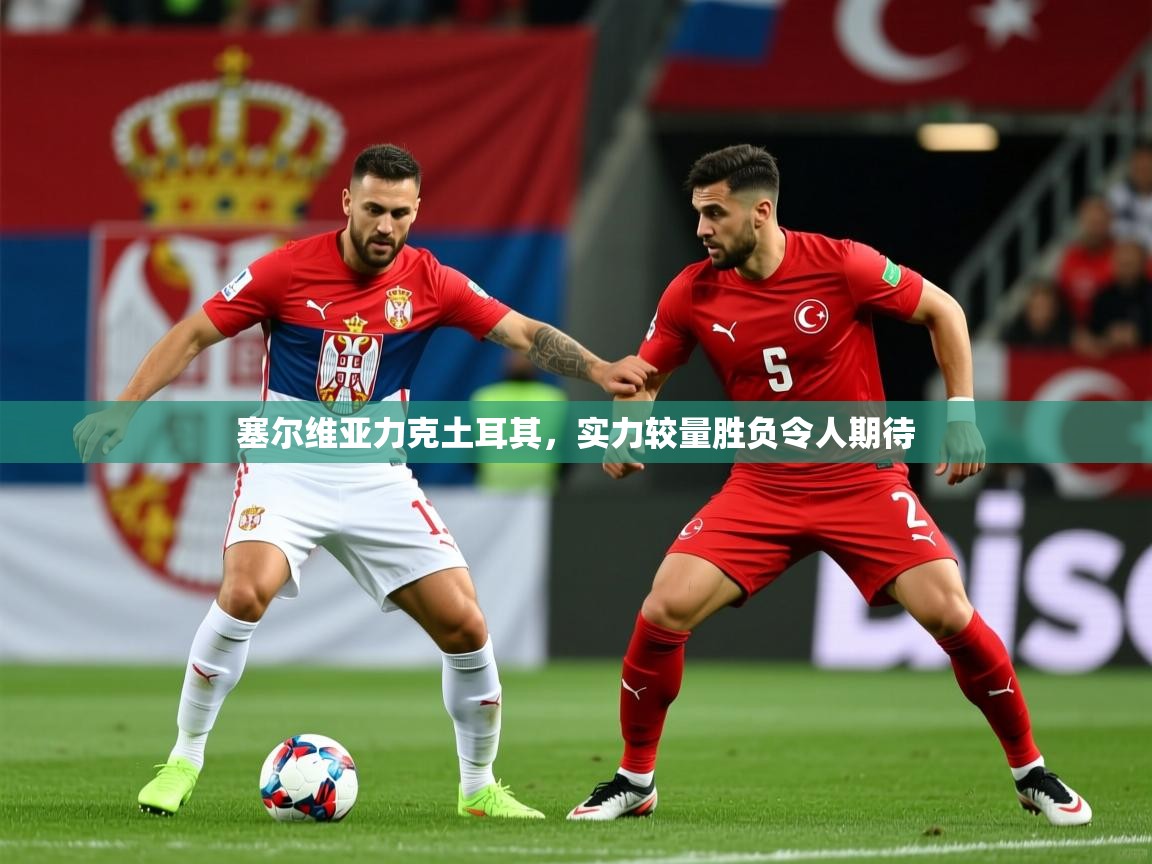 塞尔维亚力克土耳其，实力较量胜负令人期待  第3张