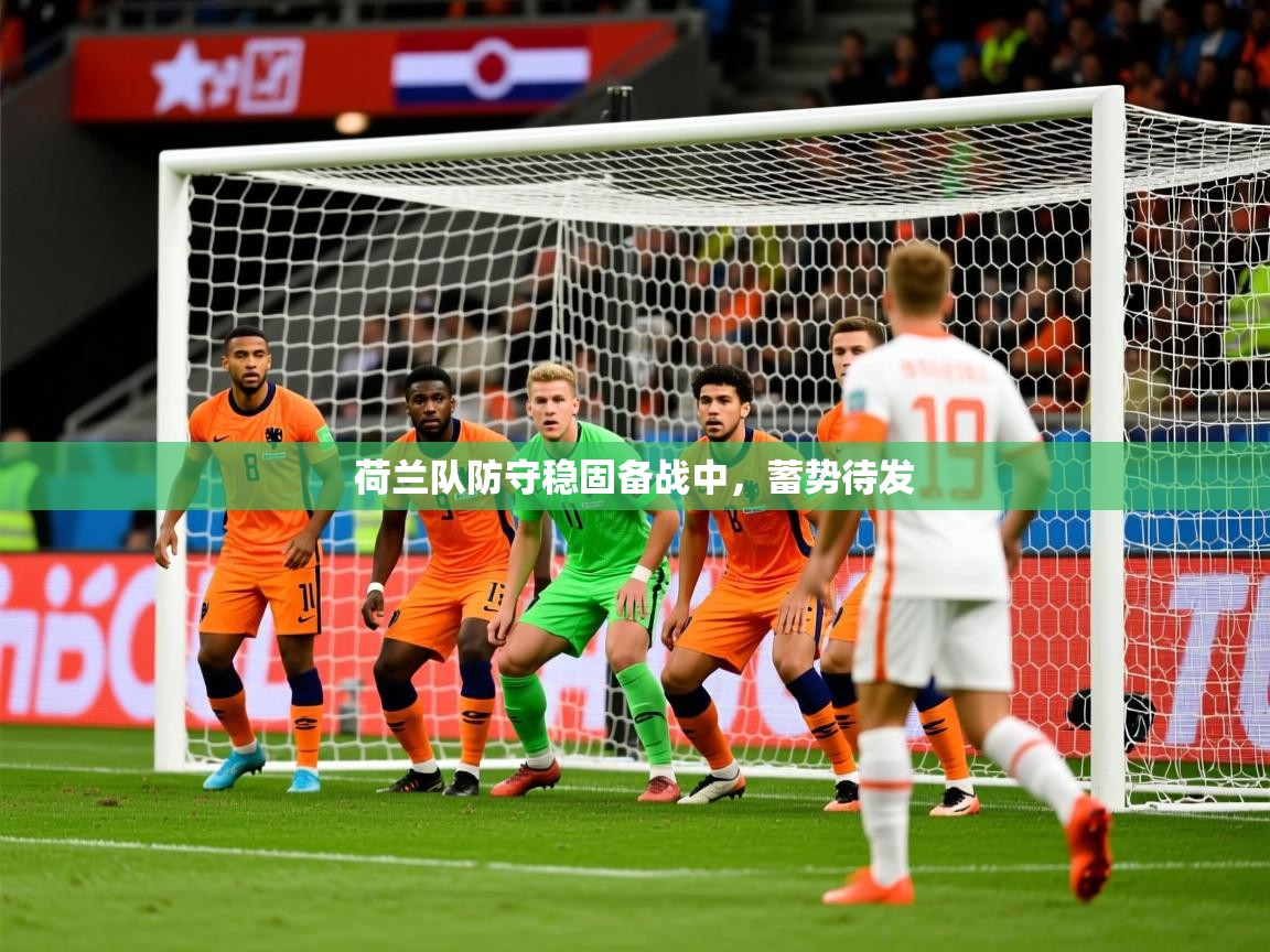 荷兰队防守稳固备战中，蓄势待发  第1张