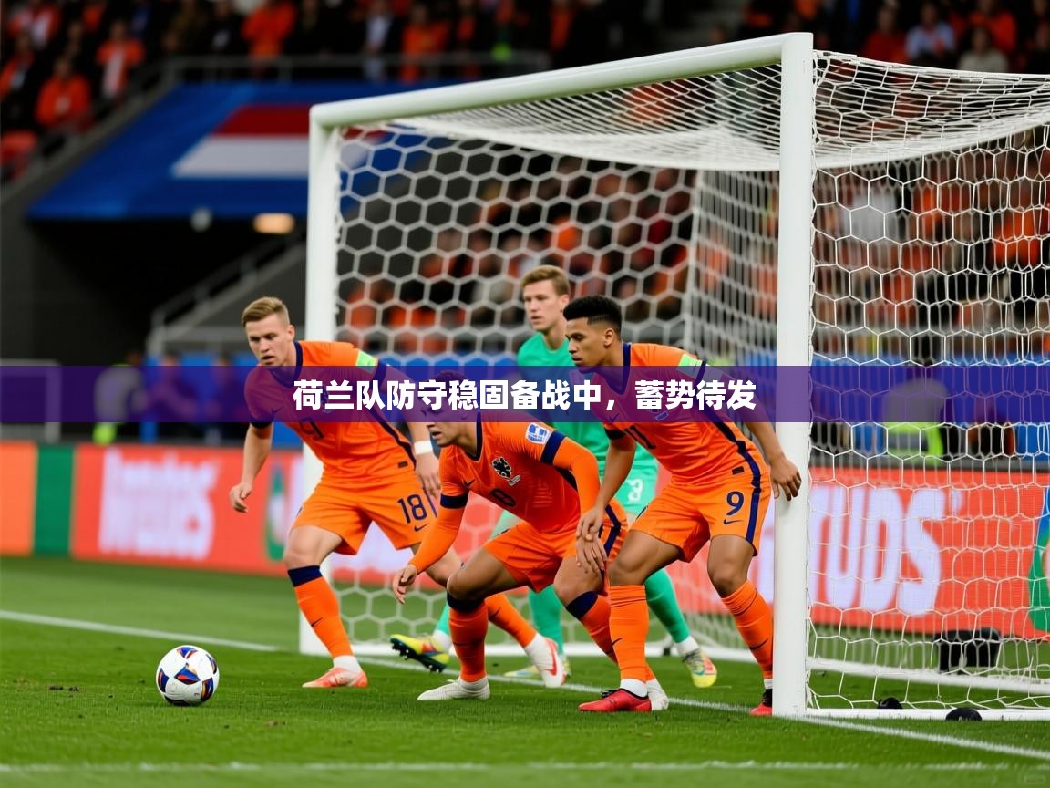 荷兰队防守稳固备战中，蓄势待发  第2张