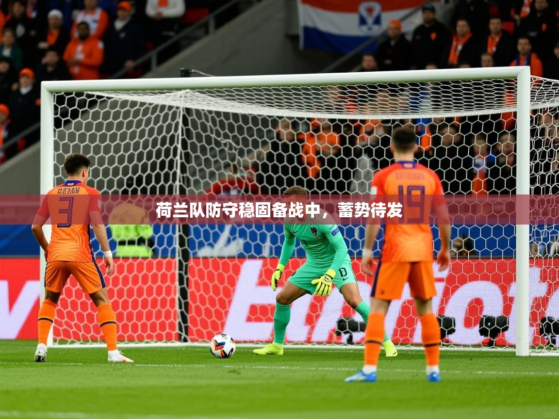 荷兰队防守稳固备战中，蓄势待发  第3张