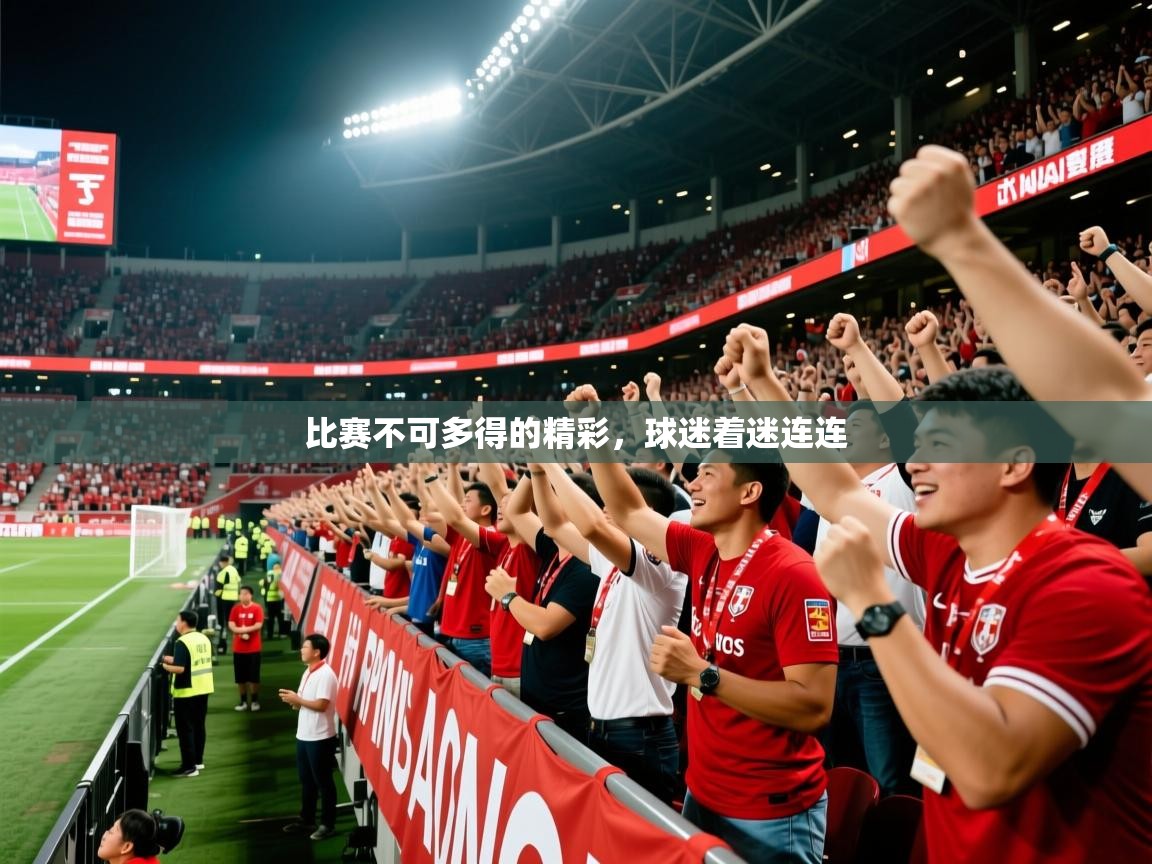 比赛不可多得的精彩，球迷着迷连连  第2张