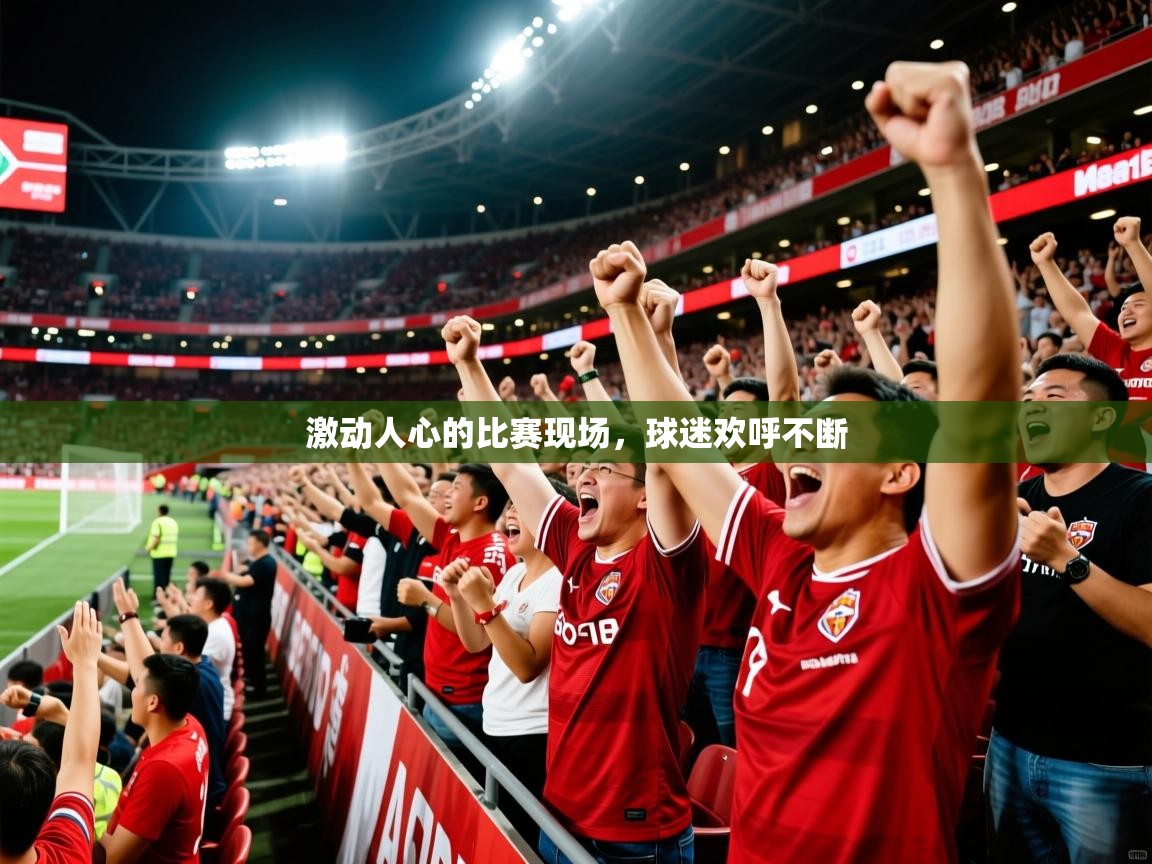 激动人心的比赛现场,球迷欢呼不断 第3张