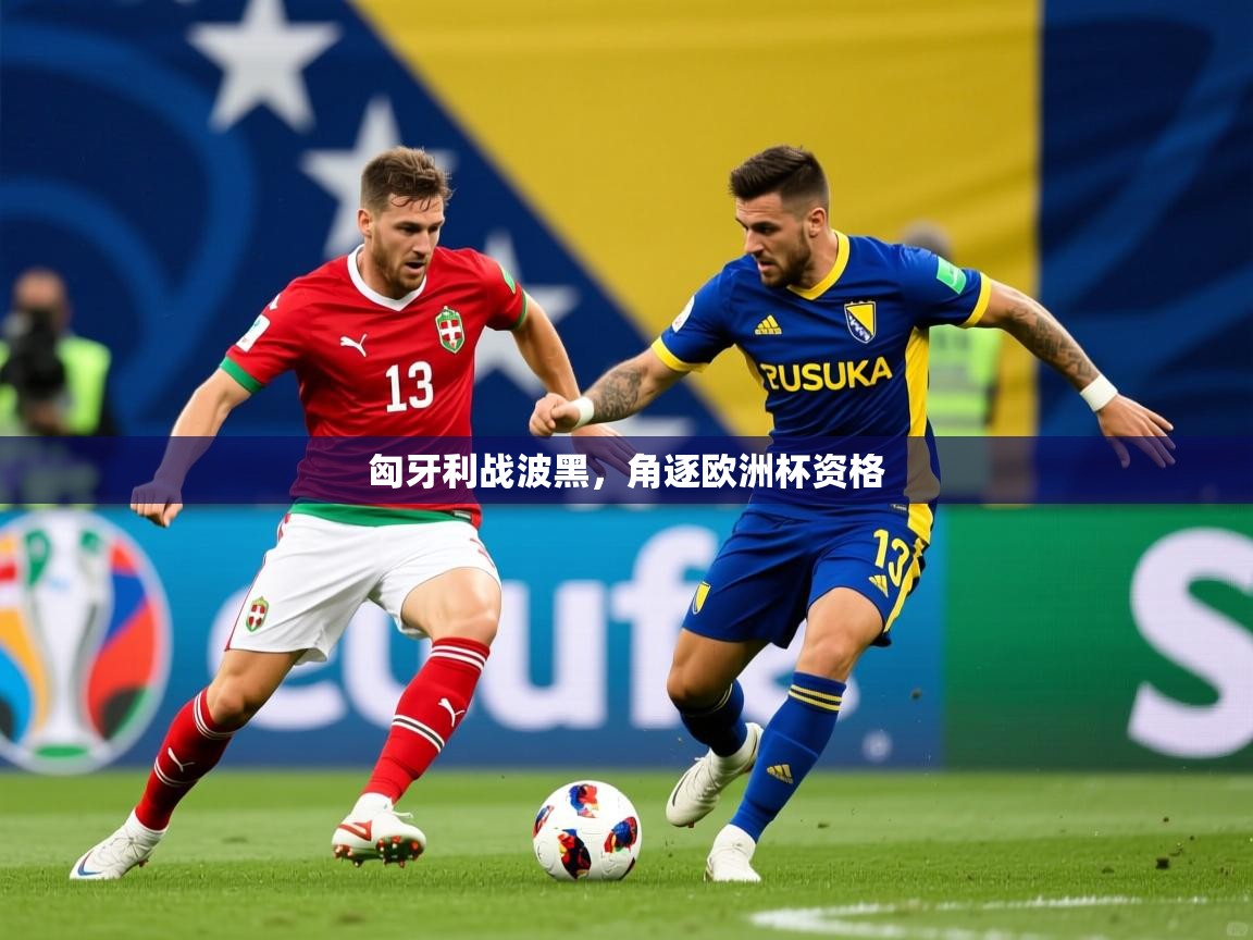 匈牙利战波黑，角逐欧洲杯资格  第3张