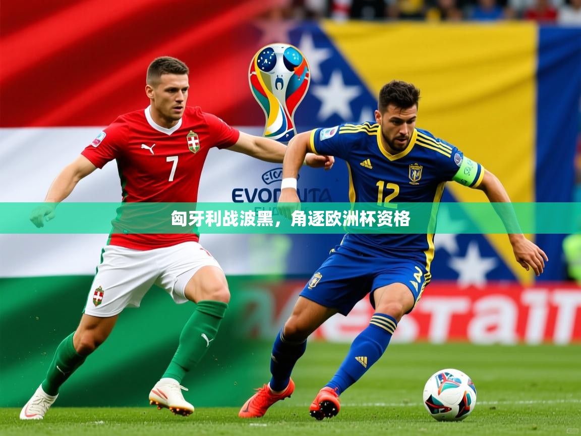 匈牙利战波黑，角逐欧洲杯资格  第2张