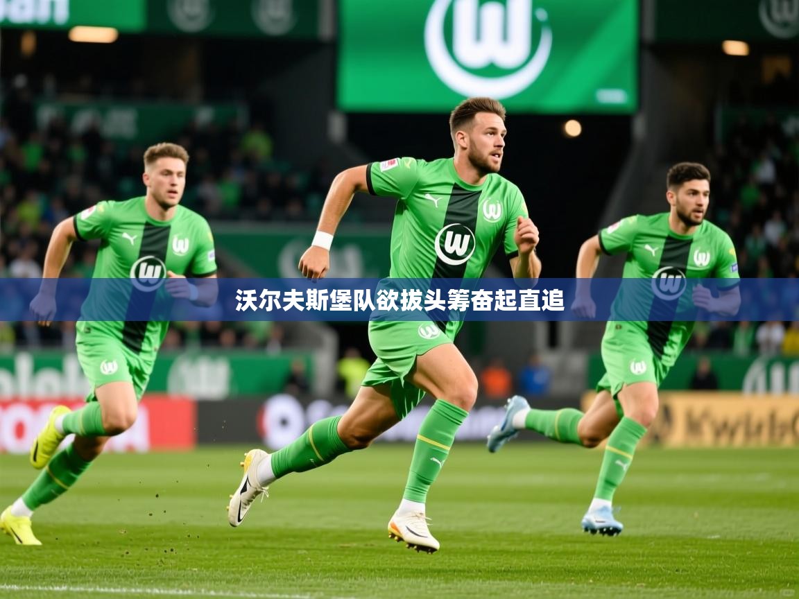 沃尔夫斯堡队欲拔头筹奋起直追 第1张