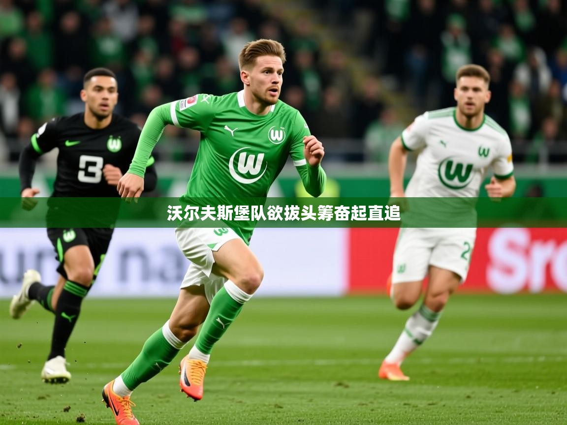 沃尔夫斯堡队欲拔头筹奋起直追 第3张