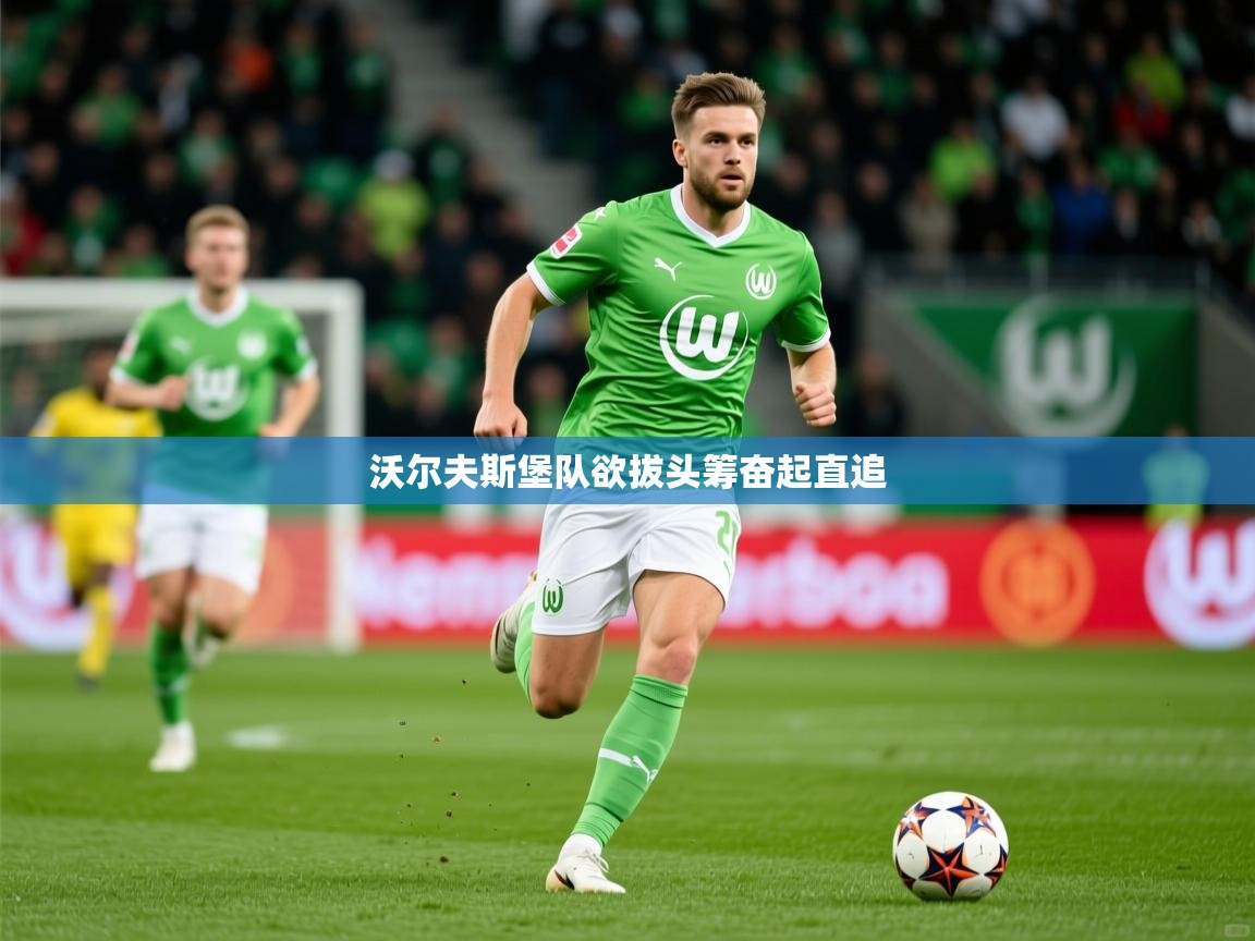 沃尔夫斯堡队欲拔头筹奋起直追 第4张