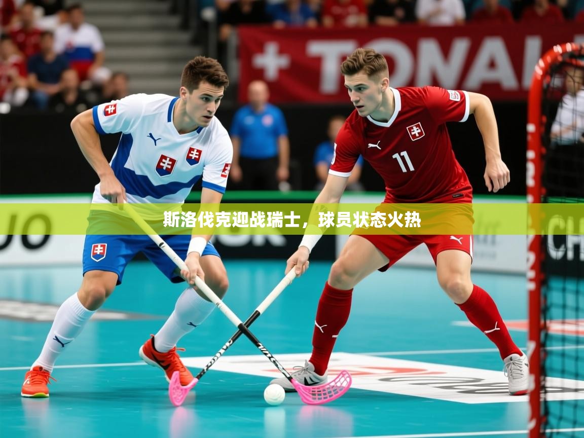 斯洛伐克迎战瑞士，球员状态火热  第3张